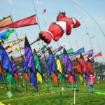 Unique kite festival & Rann of Kutch festival Trip (5N/6D)