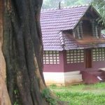 Mananthavady,Western Ghats, Wayanad - Kerala
