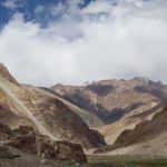 Biodiversity of Cold Desert at Ladakh