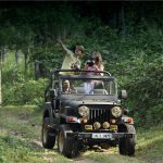 Go Wild in Tadoba Andhari Tiger Reserve